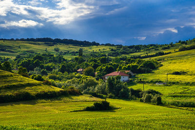 Scenic view of agricultural field against sky