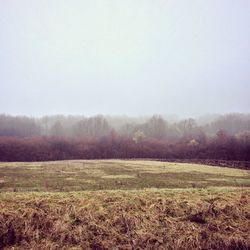 Scenic view of field against clear sky