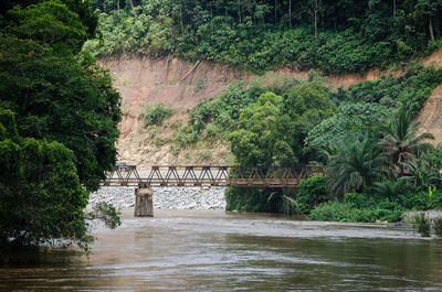 Bridge over river in forest