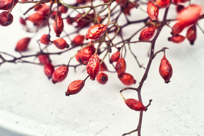 Close-up of red berries on table