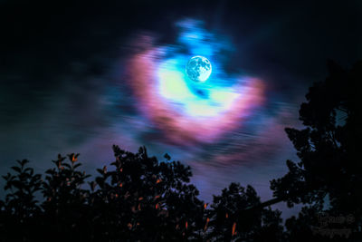 Low angle view of silhouette trees against sky at night