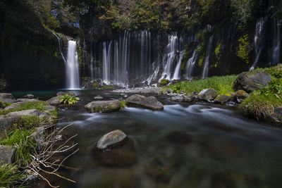 Scenic view of waterfall in forest