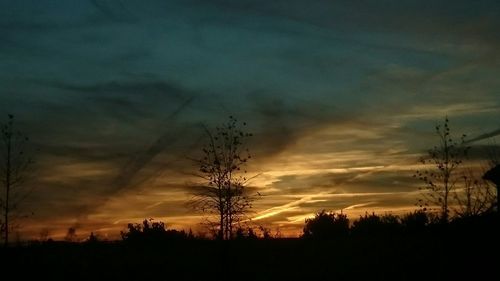 Silhouette trees against sky during sunset