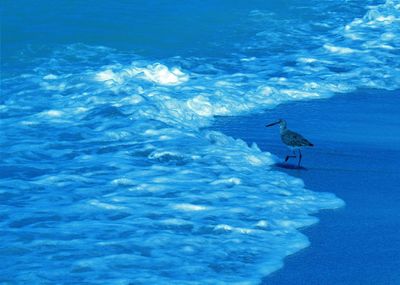 Scenic view of sea against blue sky