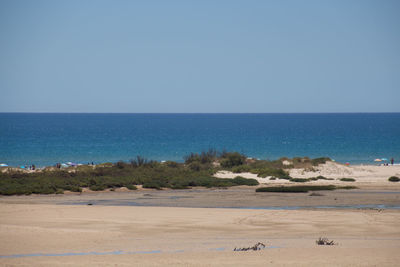 Scenic view of sea against clear blue sky