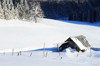 Scenic view of snow field during winter