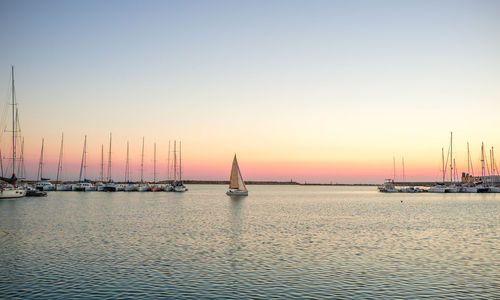 Sailboats sailing on sea against clear sky during sunset