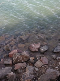 Close-up of rocks in sea