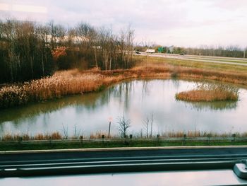 Reflection of trees in water