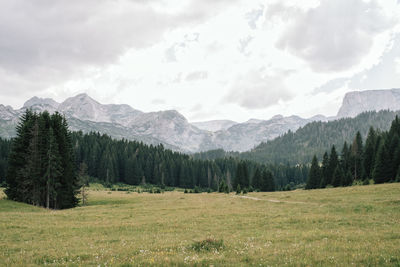 Scenic view of landscape and mountains against sky