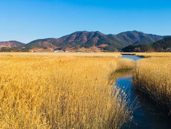 Scenic view of lake against clear sky