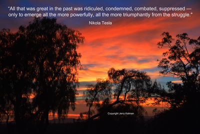 Scenic view of silhouette trees against romantic sky at sunset