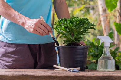 Midsection of woman holding flower pot at table