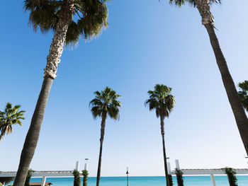 Promenade of torremolinos, malaga, spain