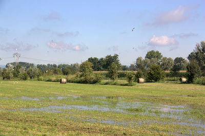 Scenic view of grassy field against cloudy sky