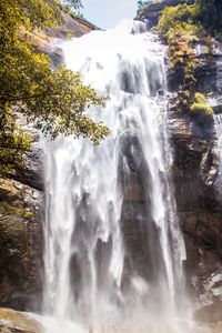 Scenic view of waterfall in forest