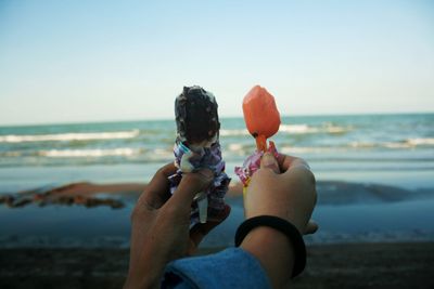 Rear view of friends on beach against clear sky