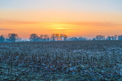 Scenic view of field against sky during sunset