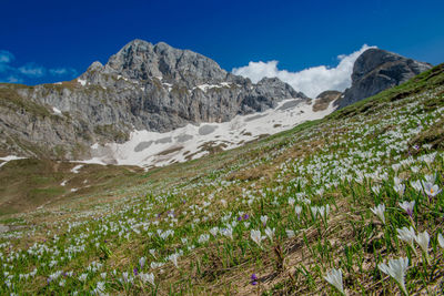 Scenic view of mountains against sky