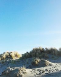 Scenic view of beach against clear blue sky