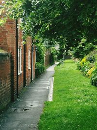 Footpath in park