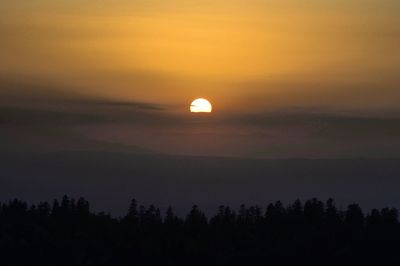 Scenic view of silhouette forest against orange sky