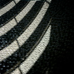 Close-up of shadow on road
