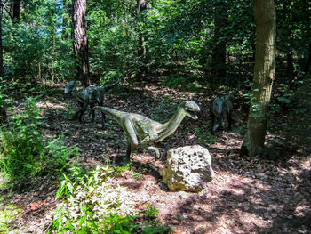 View of trees in the forest