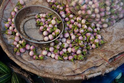 Pea eggplant at a market in nha trang, popular vietnam agriculture product