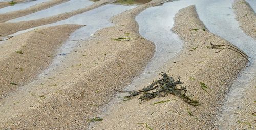 High angle view of road