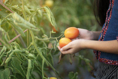 Midsection of woman holding orange fruit