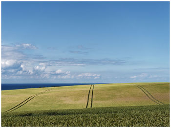Scenic view of field against sky