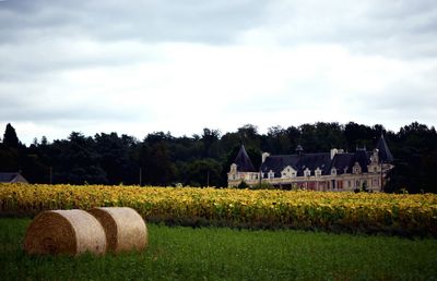 Hay bales on field against sky