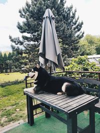 Rear view of woman sitting on bench
