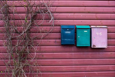 Colorful mailboxes by dried plants on wall