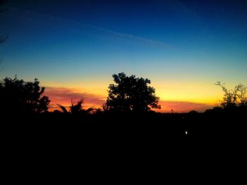 Silhouette of trees at sunset