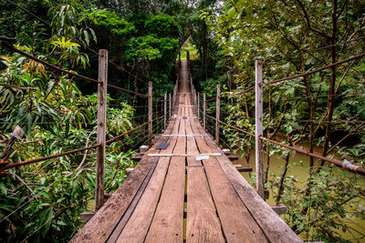 Footbridge in forest