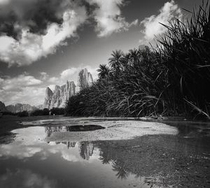 Reflection of trees in lake against sky