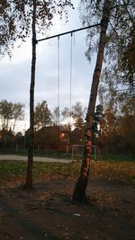 Trees on field against sky