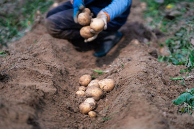 Human hand on ground