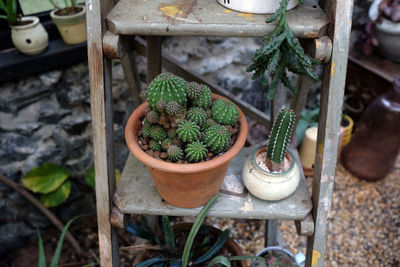 High angle view of potted plants in yard