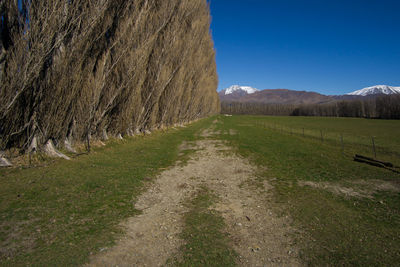 Road amidst field against sky