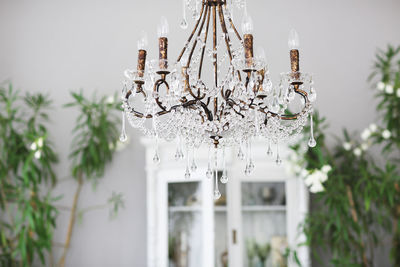 Low angle view of chandelier hanging amidst trees and buildings