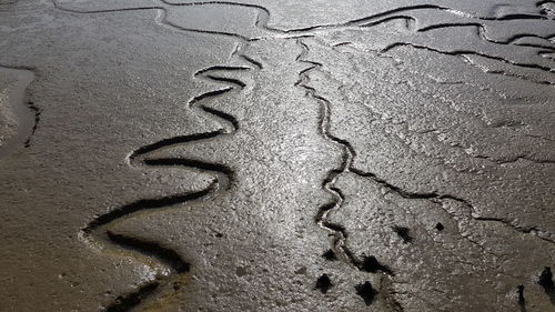 High angle view of footprints on wet sand