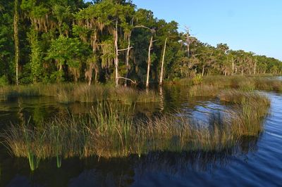 Scenic view of lake against sky