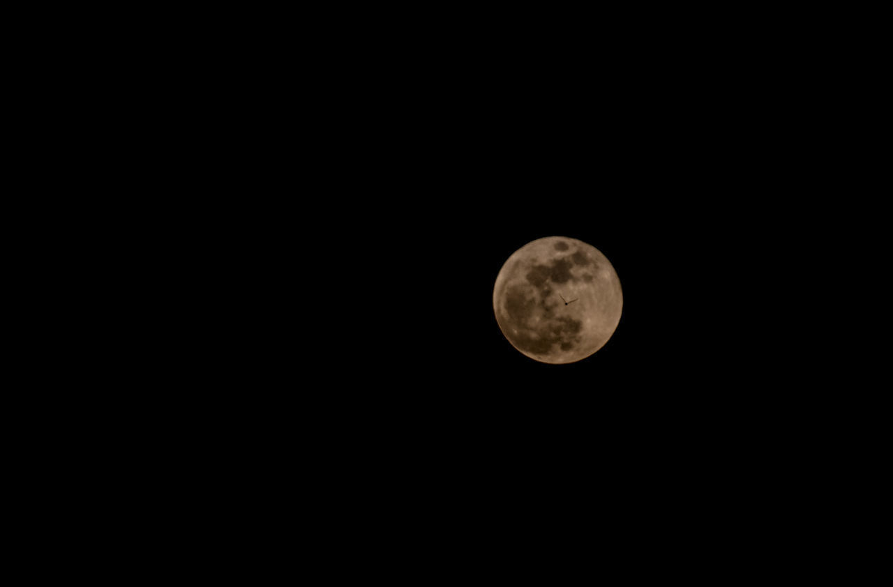 LOW ANGLE VIEW OF FULL MOON IN SKY