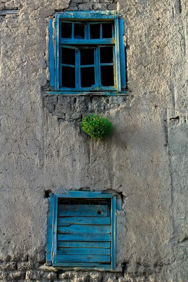 building exterior, built structure, architecture, window, house, wall - building feature, blue, plant, wall, closed, day, door, outdoors, residential structure, abandoned, old, no people, weathered, damaged, residential building