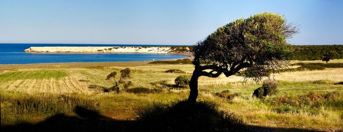 Scenic view of sea against clear sky