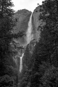 Low angle view of waterfall in forest