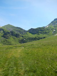 Scenic view of green landscape against clear sky